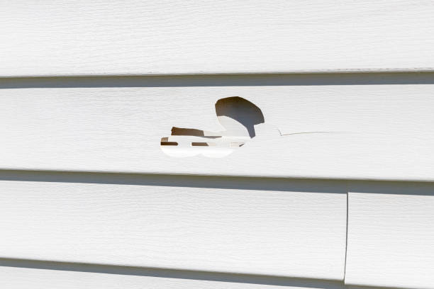 Historical Building Siding Restoration in Sturtevant, WI
